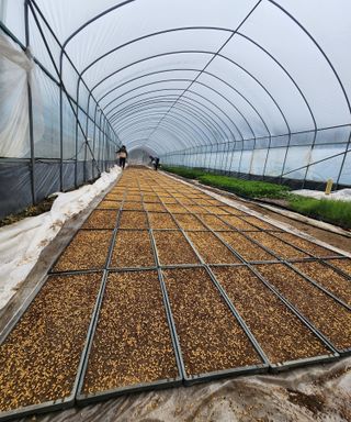 노고산농부님의 자유주제 · 자유게시판 작성글 사진