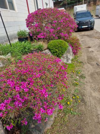 손병만님의 자유주제 · 자유게시판 작성글 사진