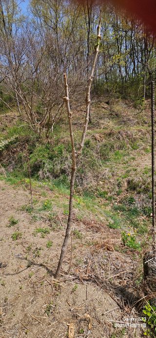 김상욱님의 농사, 무엇이든 물어보세요! · 참여글 작성글 사진