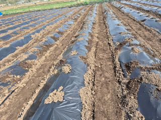 사천시향촌동 돼지띠님의 자유주제 · 자유게시판 작성글 사진