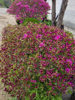 손병만님의 자유주제 · 자유게시판 작성글 사진