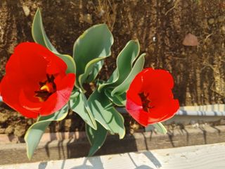 안길원님의 자유주제 · 자유게시판 작성글 사진