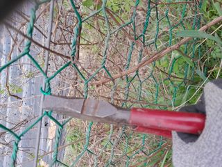 김민수산에서농사중님의 자유주제 · 자유게시판 작성글 사진