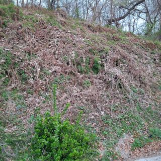 오영도님의 자유주제 · 자유게시판 작성글 사진