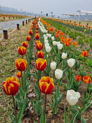 손병만님의 자유주제 · 자유게시판 작성글 사진