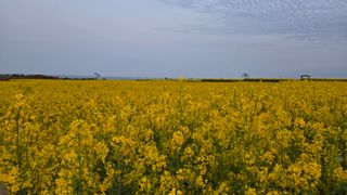 농수사님의 자유주제 · 사진전 작성글 사진