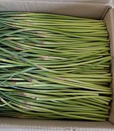 팜모닝 · 게시글 이미지