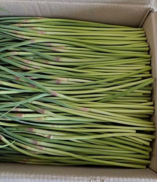 농사꾼 단비님의 작성글 사진