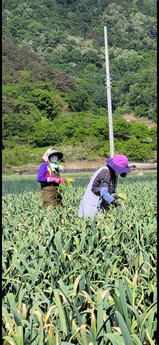 농사꾼 단비님의 작성글 사진