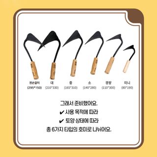 아시아종묘님의 자유주제 · 자유게시판 작성글 사진