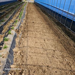 박용열조물주님 님의 자유주제 · 자유게시판 작성글 사진