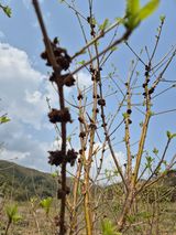 팜모닝 자유주제·자유게시판 게시글 이미지