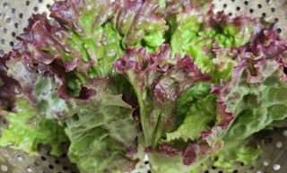 정미리님의 자유주제 · 자유게시판 작성글 사진