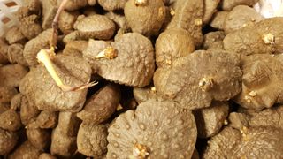 김지영님의 자유주제 · 자유게시판 작성글 사진