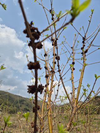기중권님의 자유주제 · 자유게시판 작성글 사진