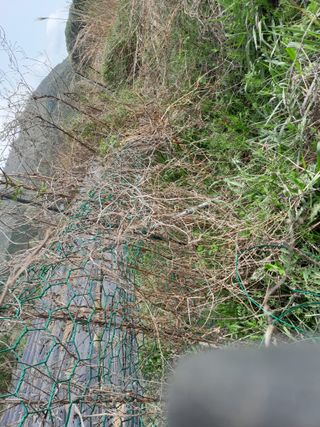 김민수산에서농사중님의 자유주제 · 자유게시판 작성글 사진