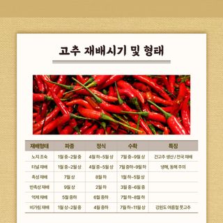 누보농장님의 자유주제 · 자유게시판 작성글 사진