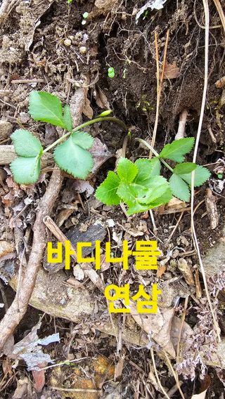 장철식님의 자유주제 · 자유게시판 작성글 사진