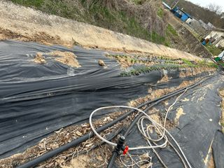 농린이님의 자유주제 · 자유게시판 작성글 사진