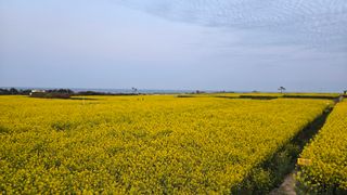 농수사님의 자유주제 · 사진전 작성글 사진