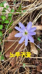 팜모닝 자유주제·자유게시판 게시글 이미지