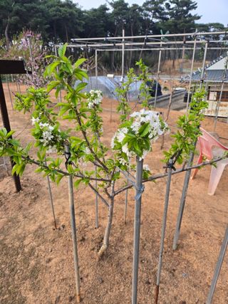 자연인님의 자유주제 · 자유게시판 작성글 사진