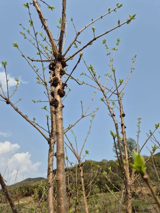 기중권님의 자유주제 · 자유게시판 작성글 사진