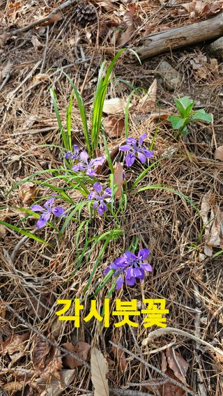 장철식님의 자유주제 · 자유게시판 작성글 사진