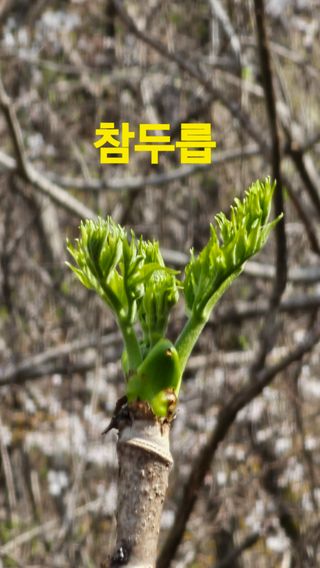 장철식님의 자유주제 · 자유게시판 작성글 사진