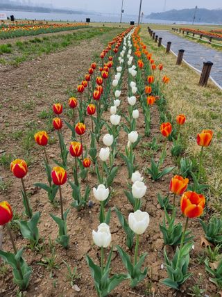손병만님의 자유주제 · 자유게시판 작성글 사진