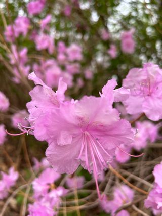 농린이님의 자유주제 · 자유게시판 작성글 사진