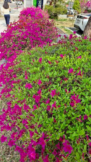 MSG0074님의 자유주제 · 자유게시판 작성글 사진