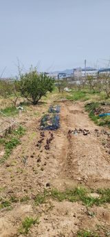 팜모닝 자유주제·자유게시판 게시글 이미지