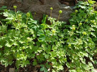 인생은 소풍처럼님의 자유주제 · 자유게시판 작성글 사진