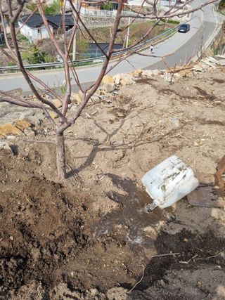 김용대님의 자유주제 · 자유게시판 작성글 사진