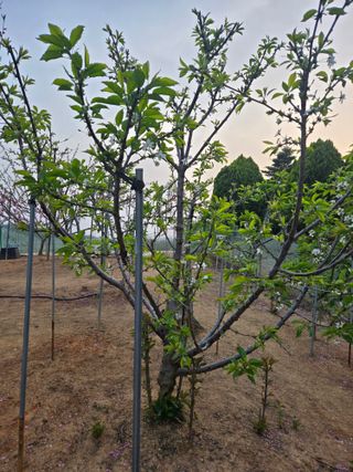 자연인님의 자유주제 · 자유게시판 작성글 사진