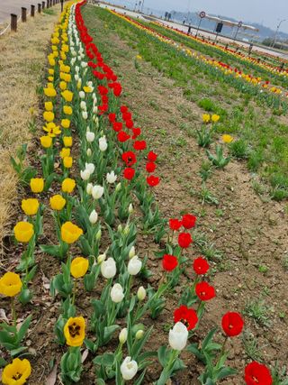 손병만님의 자유주제 · 자유게시판 작성글 사진