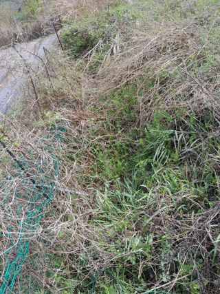 김민수산에서농사중님의 자유주제 · 자유게시판 작성글 사진