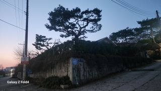 이훈정(시몬)님의 작성글 사진