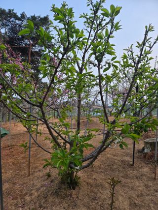 자연인님의 자유주제 · 자유게시판 작성글 사진