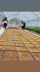 팜모닝 자유주제·자유게시판 게시글 이미지