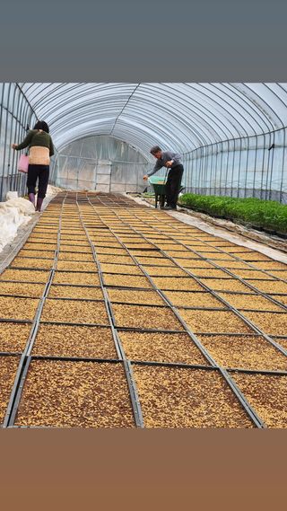 노고산농부님의 자유주제 · 자유게시판 작성글 사진