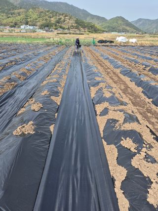 사천시향촌동 돼지띠님의 자유주제 · 자유게시판 작성글 사진