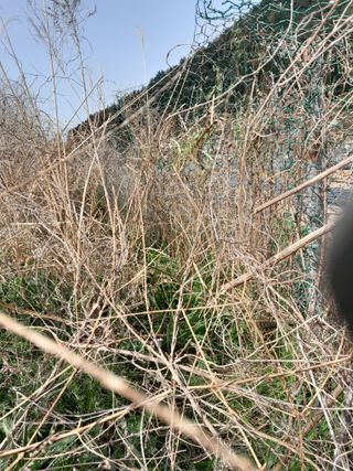 김민수산에서농사중님의 자유주제 · 자유게시판 작성글 사진