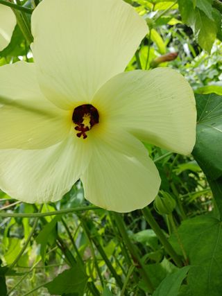 산성골농장님의 자유주제 · 자유게시판 작성글 사진