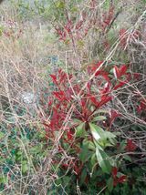 팜모닝 자유주제·자유게시판 게시글 이미지