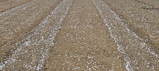 정진해님의 자유주제 · 자유게시판 작성글 사진