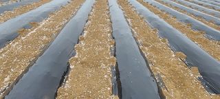 정진해님의 자유주제 · 자유게시판 작성글 사진