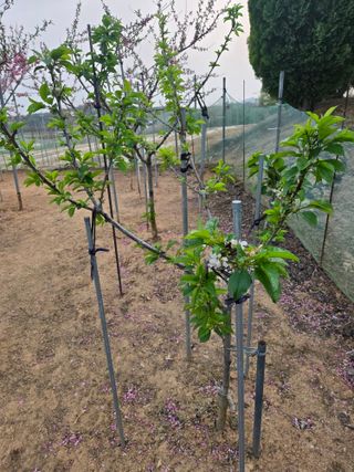 자연인님의 자유주제 · 자유게시판 작성글 사진