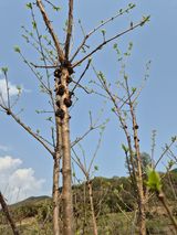 팜모닝 자유주제·자유게시판 게시글 이미지